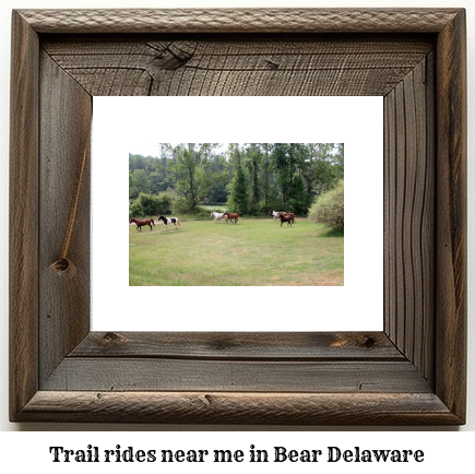 trail rides near me in Bear, Delaware